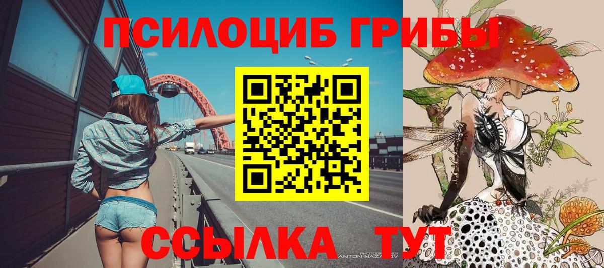 Долгопрудный  Галлюциногенные грибы прущие грибы  Вход с VPN 
