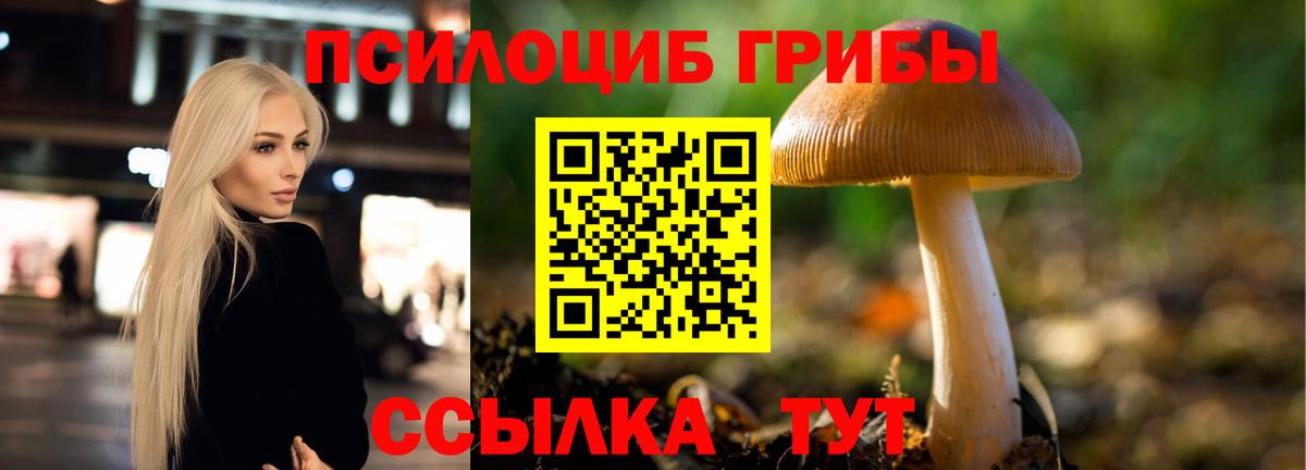 Галлюциногенные грибы мицелий Долгопрудный